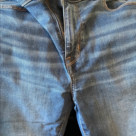 American Eagle Outfitters Denim with Copper Accents - Picture 11 of 13